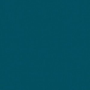 Bella Mambo